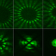Illustration for article titled These Images Were Just Beamed Across Vienna Using Twisted Light